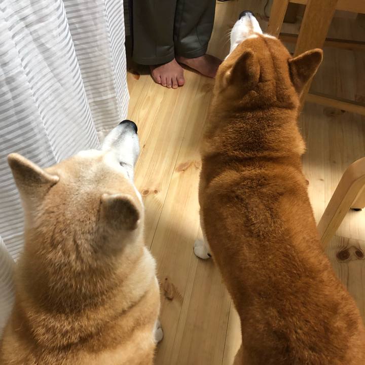 Cf658fc6 93e5 46b7 9fcd d8e348a2b812 1536924134597