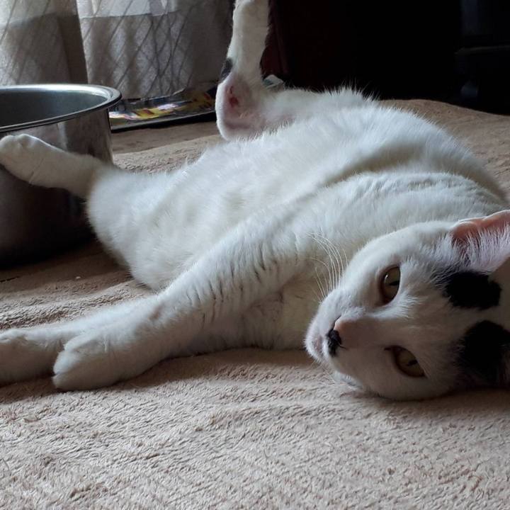 Cf65d890 126b 41d1 aa0c e4427357e46c 1588650811804