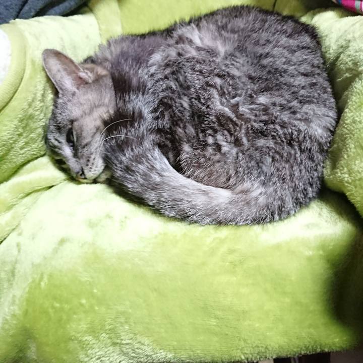 Cf65e08b e867 4c61 a9a9 eb4ce4abd123 1582621989789