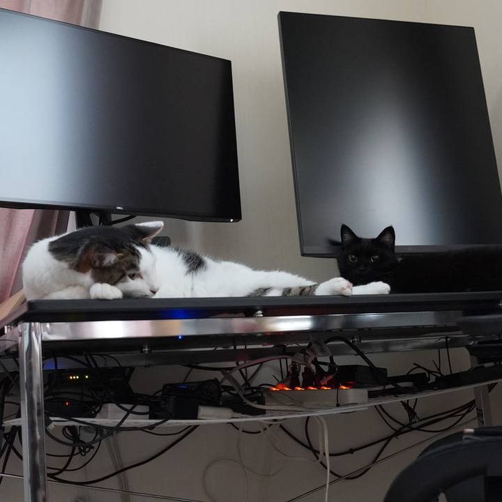 Cf664954 e03e 4d6a ae79 f09c84938d51 1698847500820