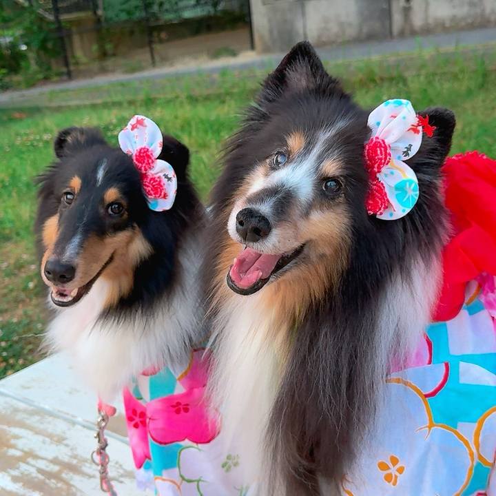 Cf665c4e f67d 4aa1 925a 85ad56357834 1751898756593