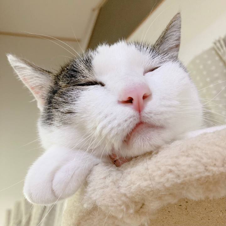 Cf66752b be79 43fb 8b13 51dbd78cc74d 1694174910456