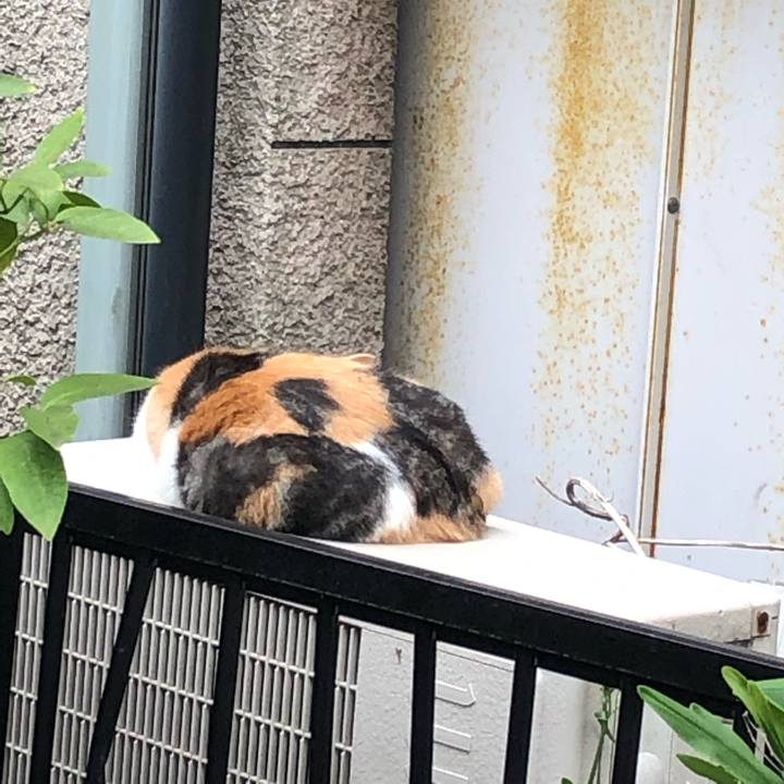 Cf667787 7d41 42c5 a93e aa7455576b80 1541707237085