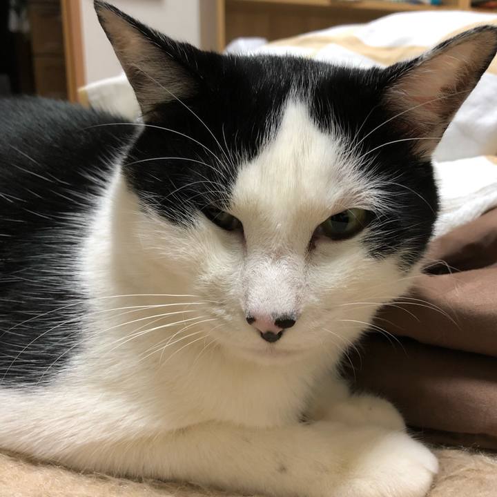 Cf6680ae 8058 478a 8947 20f3ee4562d1 1546532196293