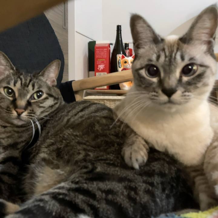 Cf66889e 9b4d 447d 882f 55fbc5091dd7 1610454954827