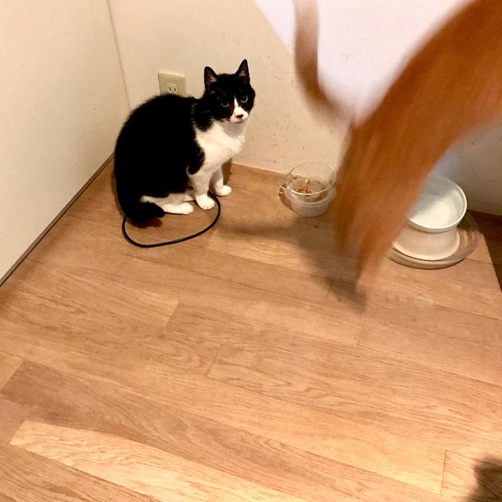 Cf6699c5 eeb4 45fd b47f c37286e2fe48 1529983323597