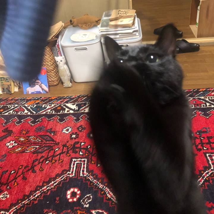 Cf66e2f6 7ca8 476a 9ece d9e229ebeabb 1658359732697