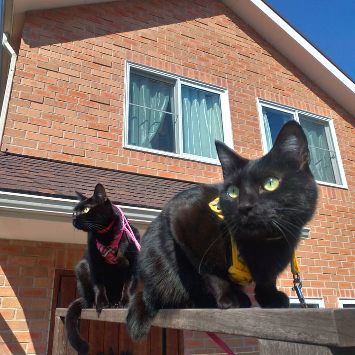 Cf670963 e3c3 4da8 b8a4 12f40802c5bb 1550890860843