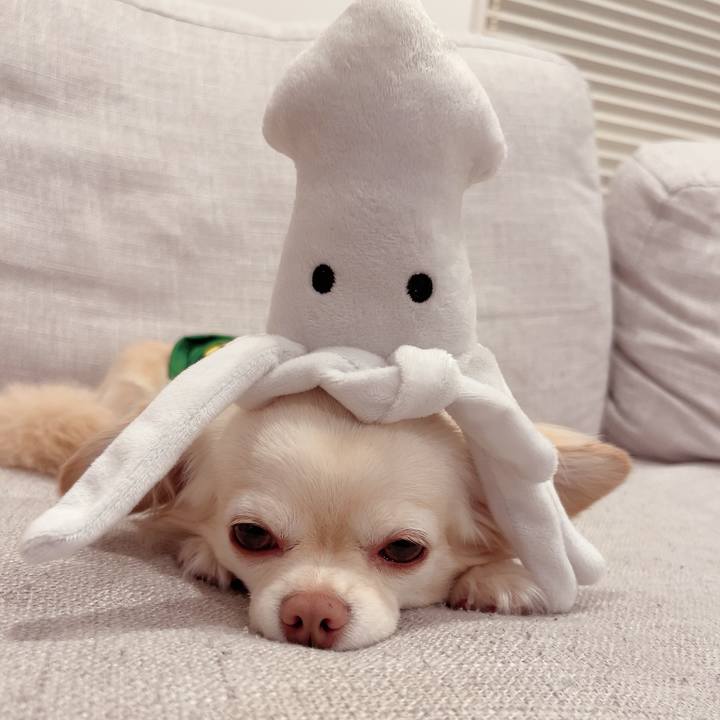 Cf675dd6 2495 4b00 90f0 26a324f5c161 1719576916584