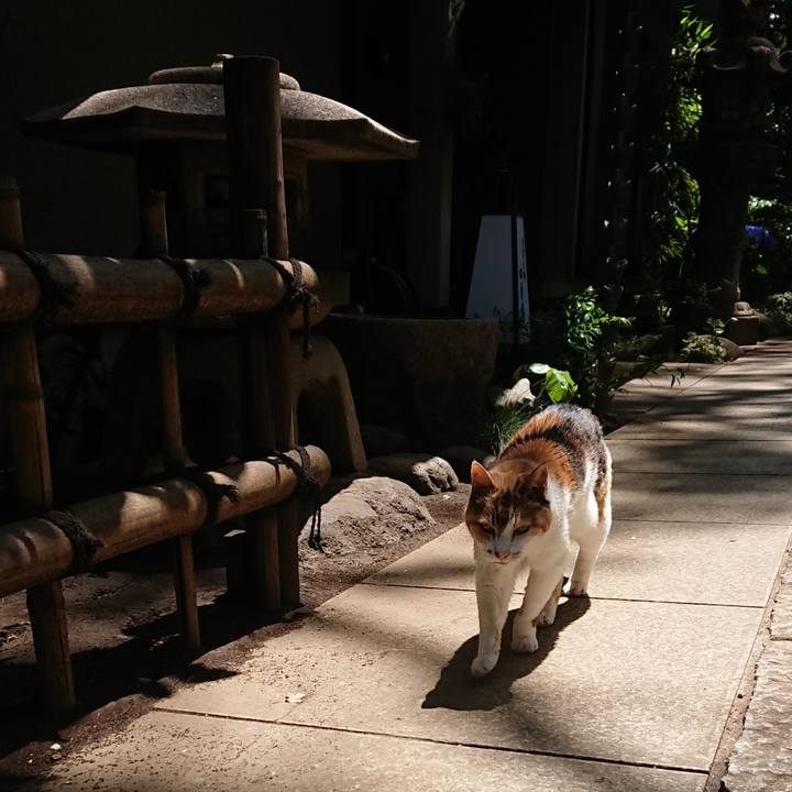 Cf67aa62 e850 421a af37 3caf4a3cde54 1684212018110