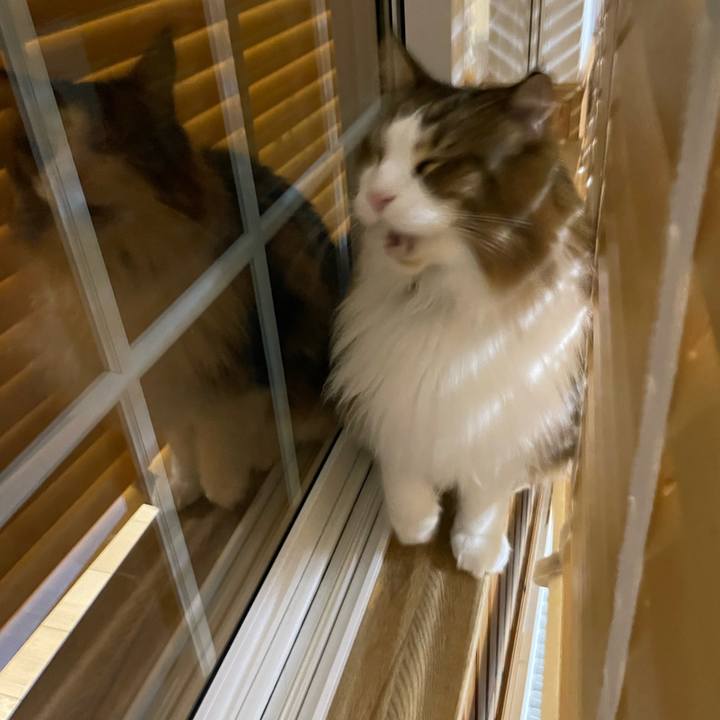 Cf67c68e e5d6 41f5 91a7 2ae2146c2148 1702409734960