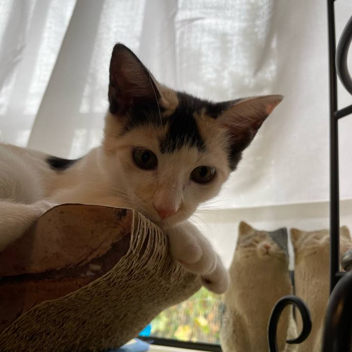 Cf684d46 0897 45e8 8937 97a37acaceec 1661382361037