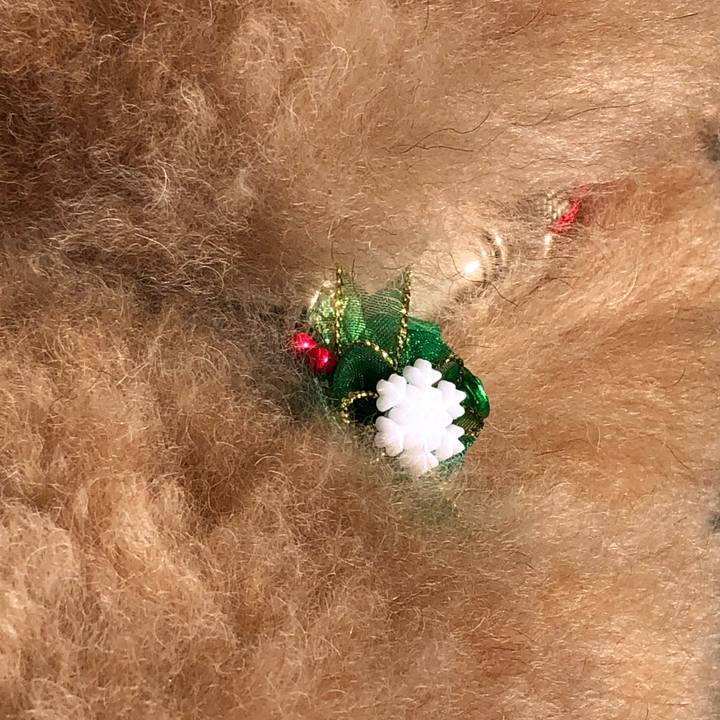 Cf686323 98c9 45bc bc42 2e62f301a3aa 1513045778275