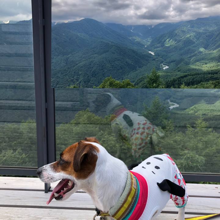 Cf686d01 ae5b 4f9e 924c a97ab22609ef 1565346649681