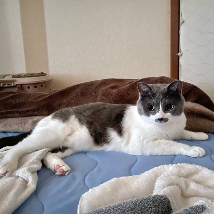 Cf689556 a009 4698 870f 1bfe34b59834 1661548915822