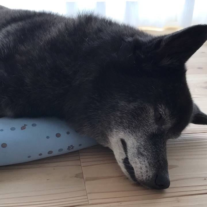 Cf68e6b0 6302 4909 b0ed e2220d0c6b6b 1597059677991