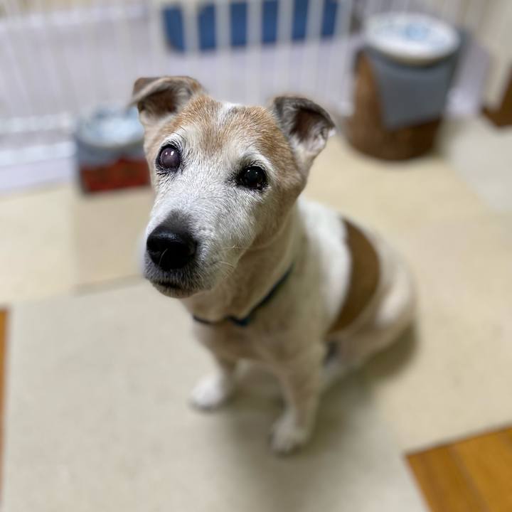 Cf69245b 2041 49d4 b788 befc8d55de37 1671575076112