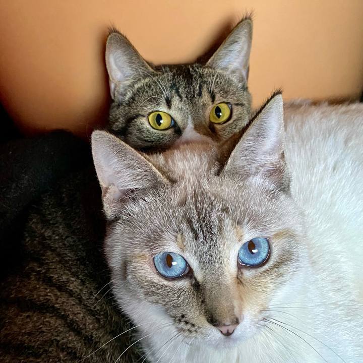 Cf6963ef 63c8 4a76 be8c cc7fd3efee59 1649054336935