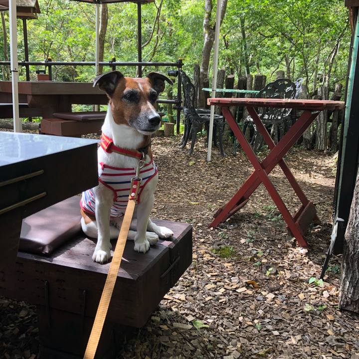 Cf6968d1 9f35 47af 8303 7dcc3d1bb703 1602025019350