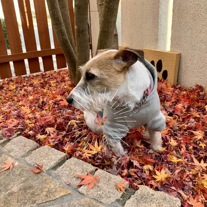 Cf6986d4 69ff 442d 973c cb42dad058d7 1608130155635