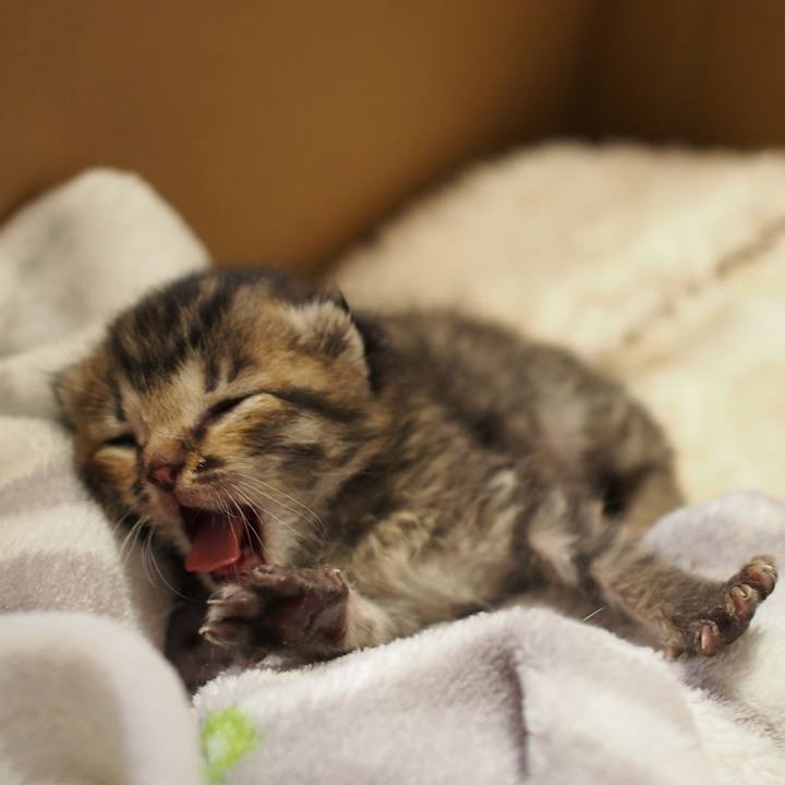 Cf69bf0c 51be 4b4f 9bde 59d6b2f71cd4 1558961053677