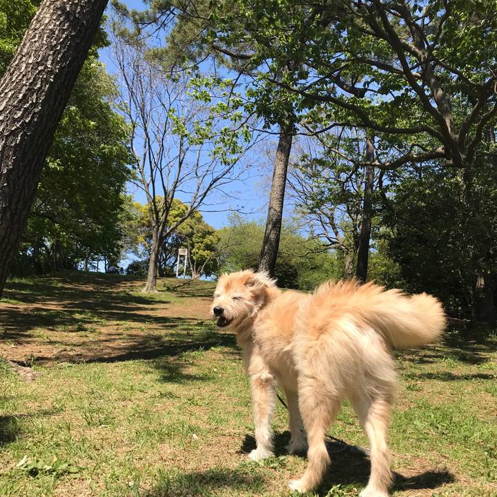 Cf69e17c a714 4e9a bb70 553123611858 1587795288423