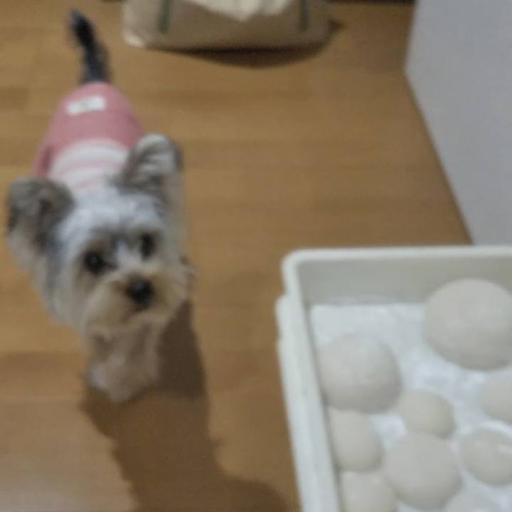 Cf6a0859 3b44 4abd a4d9 533df876994e 1545998140101