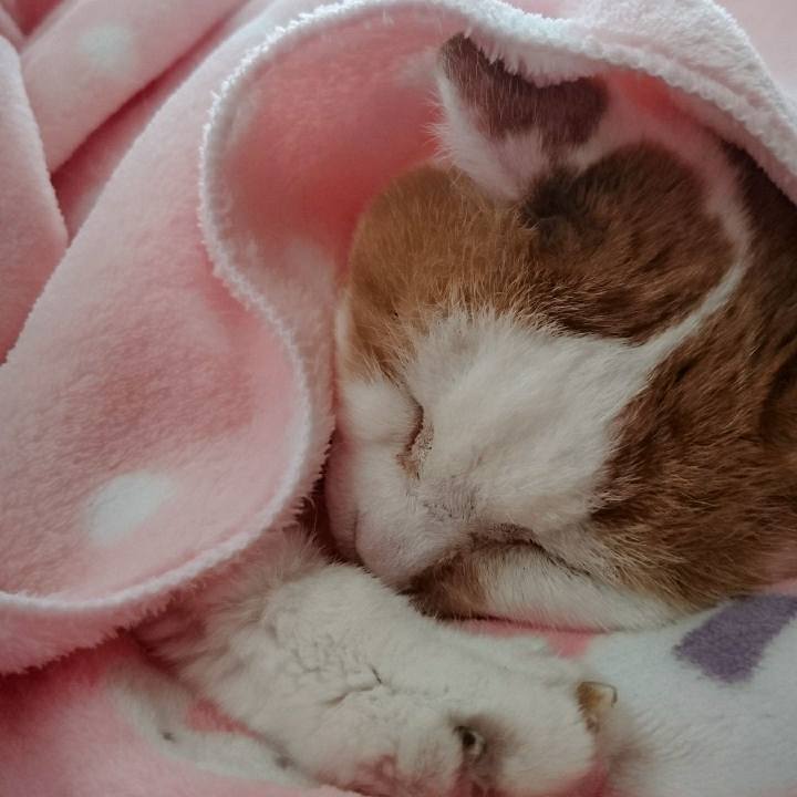 Cf6a2ab7 4908 46c9 8294 6beca37a4f7b 1546318253278