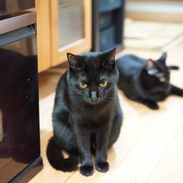 Cf6a3fd7 f3d5 4931 9d3c 0a174add05aa 1557408400806