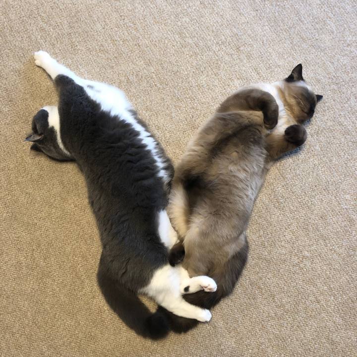 Cf6a8cd3 3122 4444 9108 db8ae199b17a 1597991443830