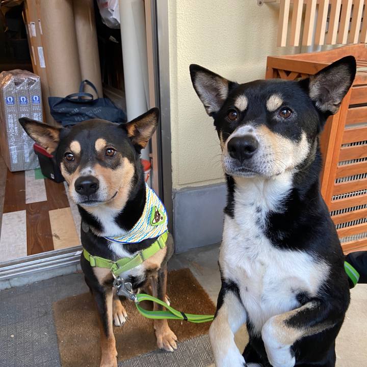 Cf6acd61 77fc 47da b4e2 61763e6c4e7a 1615379924273