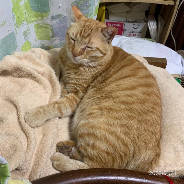 Cf6b029f 1f5e 473b afad d6854bc5a636 1674307779185