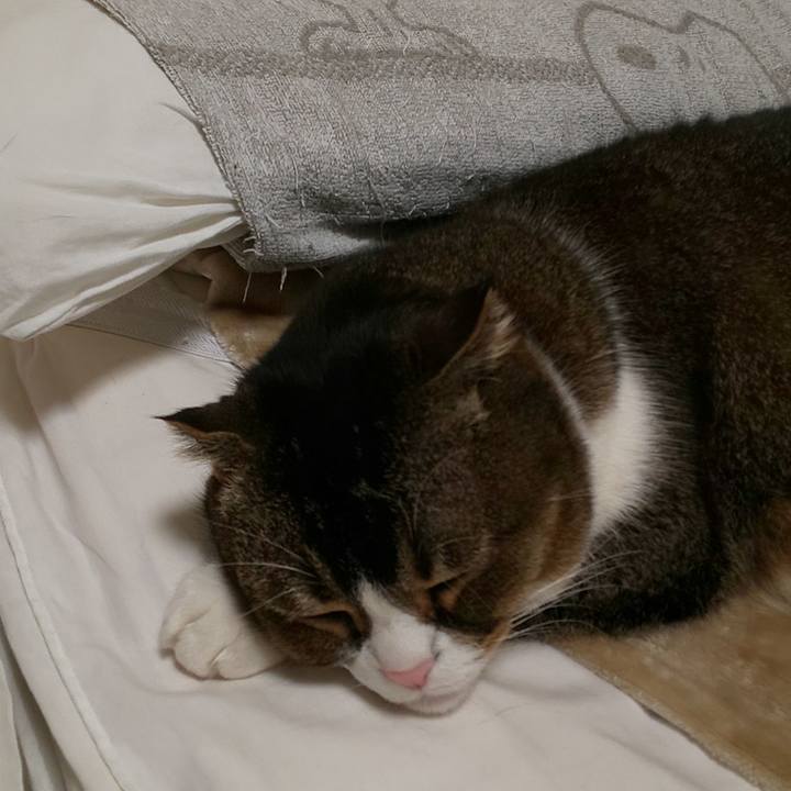 Cf6b1e55 2fdc 4a01 8b16 c1b7181da8c8 1676770978548