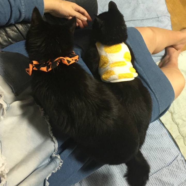 Cf6b1eec adc6 4d04 9a37 43fb6187c851 1539607134092