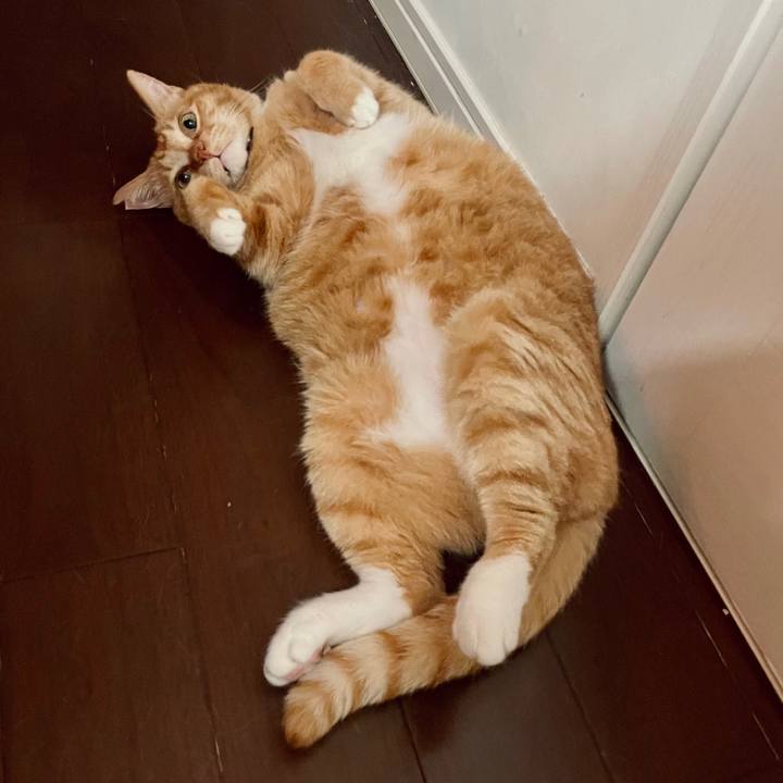 Cf6b27b4 ece6 491c 93d6 aad32c8b921e 1750433614606