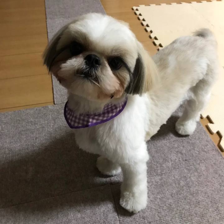 Cf6b91dc 586e 4144 a9cb 015e8ca3eb93 1573871513577