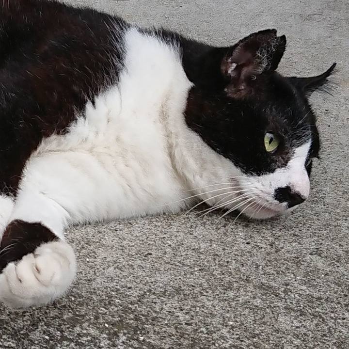 Cf6ba1ca 664e 4312 a9f0 4484fbda14d7 1691751647091