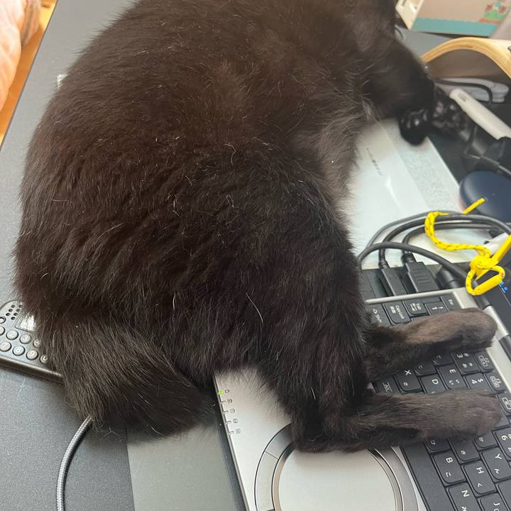 Cf6bb140 7583 4396 a606 fee2d42e3ac8 1713355639978