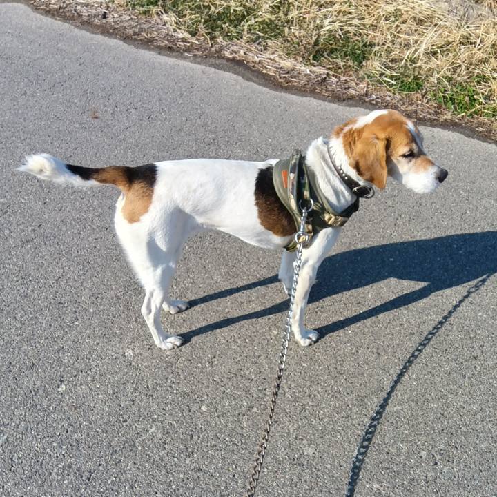 Cf6bbf17 7590 45e2 a882 07621dd1396a 1737540010885