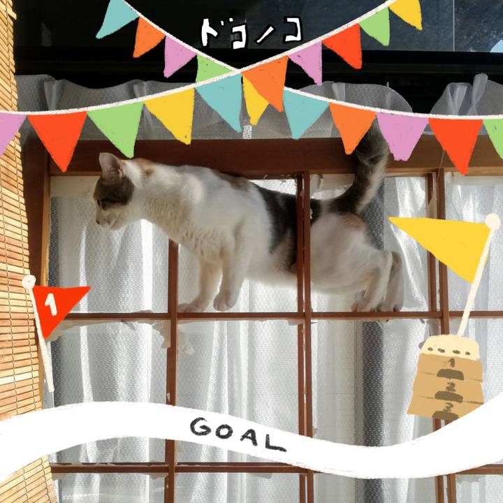 Cf6bf03e 7df8 4e88 b1ba aee0bc17fe13 1729151056394