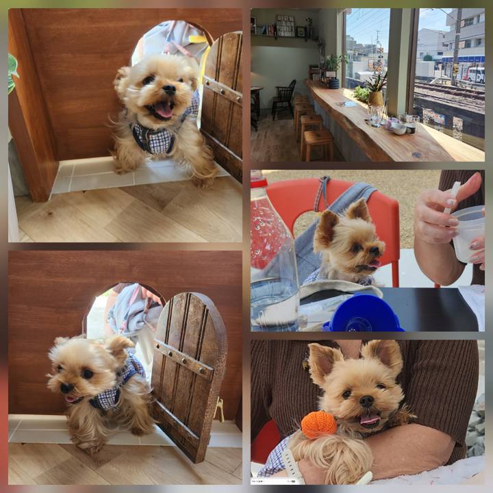 Cf6c4010 3d30 41c6 87fc 792a9b3707f1 1759899607094