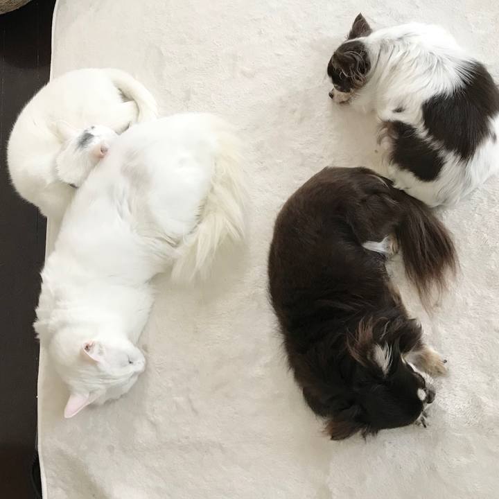 Cf6c4953 6ace 4b53 8eee cc548279d19d 1578284276339