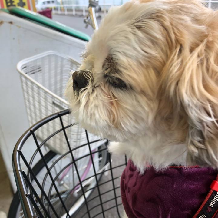 Cf6c5015 48ae 441f 9146 63a61f9e977e 1582351714336