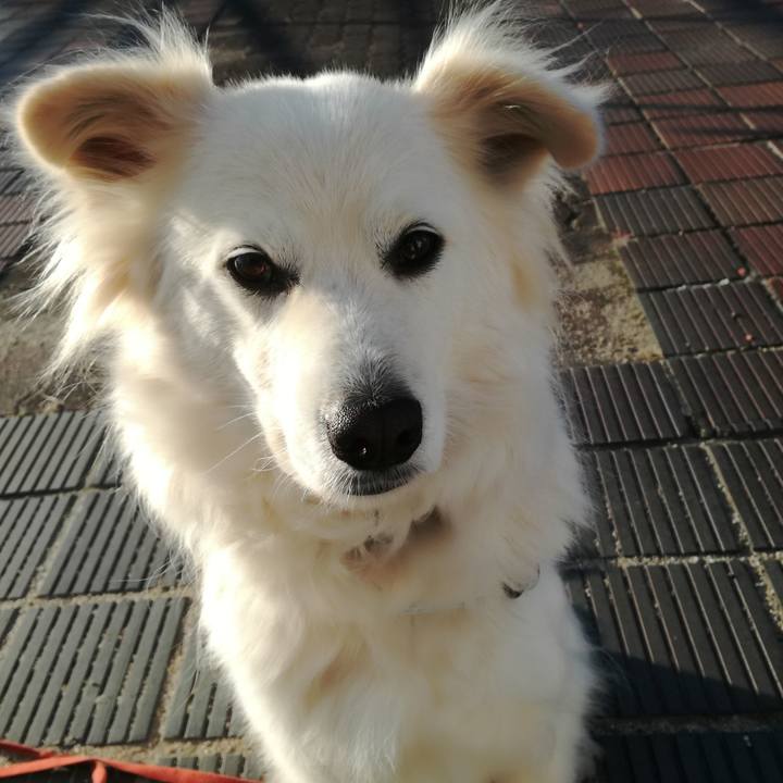 Cf6c6057 54e6 40b3 993a 91a363f91d28 1518567563627