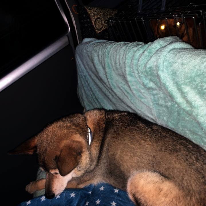 Cf6c90ee 42de 4363 8067 8b1efbca4beb 1562409003458