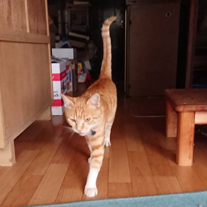 Cf6c98a8 8eb6 4414 b426 671d971fa27c 1562665290603