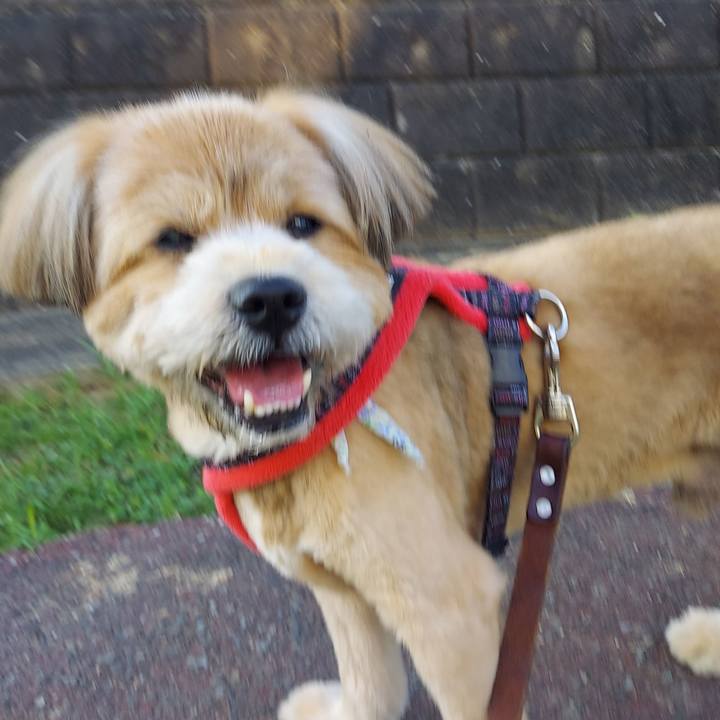 Cf6c9d52 39ac 4616 b012 618f966b7f41 1656627810056