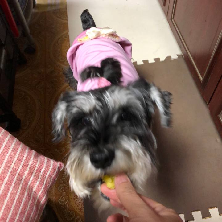 Cf6d3d6c 9a14 430d 985f f716c9af7fb3 1665364726623