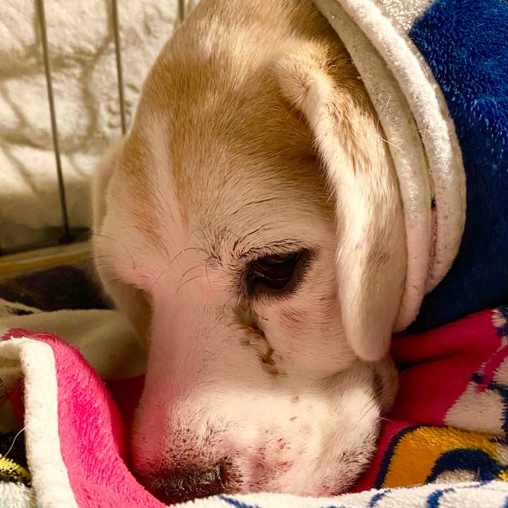 Cf6d54d8 6d4d 4f35 a6c6 6c6b7fb1f629 1670941552760