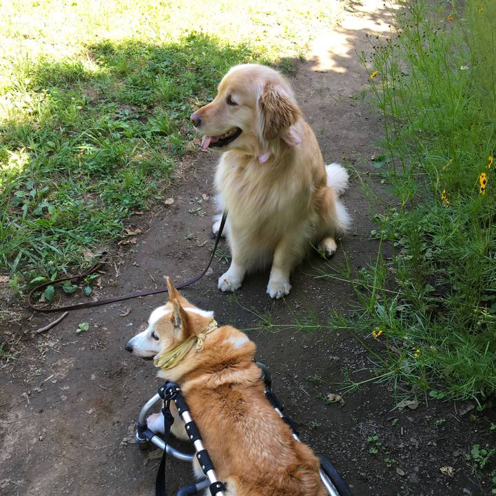 Cf6d6b33 8fdb 4b6c baa7 a5a5d0b70f7f 1560833389851